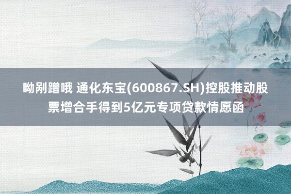 呦剐蹭哦 通化东宝(600867.SH)控股推动股票增合手得到5亿元专项贷款情愿函