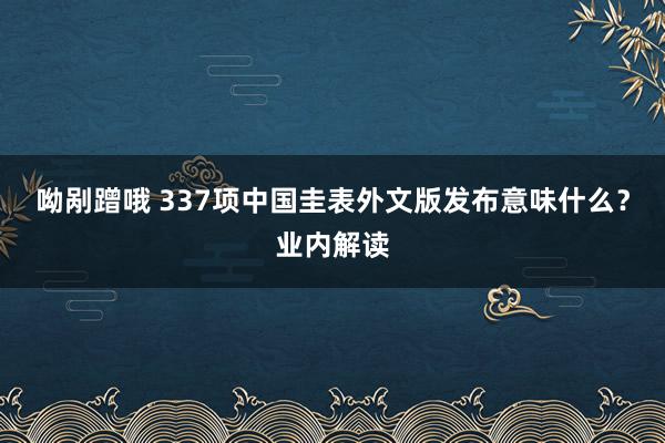 呦剐蹭哦 337项中国圭表外文版发布意味什么？业内解读