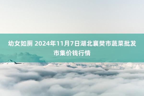 幼女如厕 2024年11月7日湖北襄樊市蔬菜批发市集价钱行情