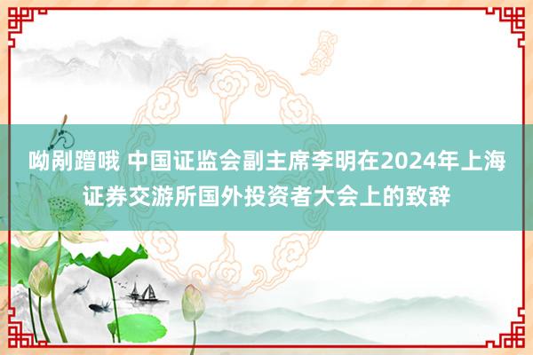 呦剐蹭哦 中国证监会副主席李明在2024年上海证券交游所国外投资者大会上的致辞