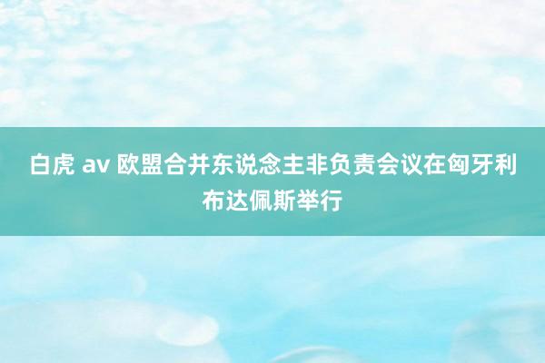 白虎 av 欧盟合并东说念主非负责会议在匈牙利布达佩斯举行