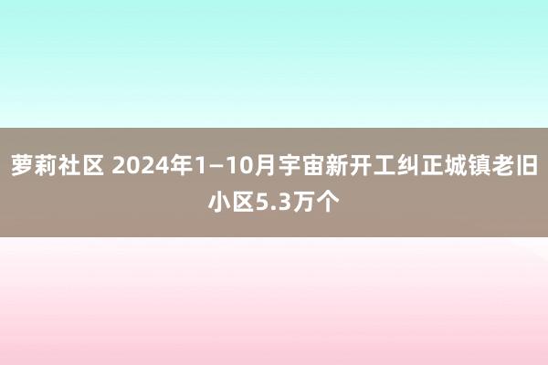 萝莉社区 2024年1—10月宇宙新开工纠正城镇老旧小区5.3万个