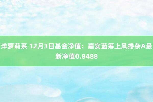 洋萝莉系 12月3日基金净值：嘉实蓝筹上风搀杂A最新净值0.8488