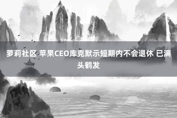 萝莉社区 苹果CEO库克默示短期内不会退休 已满头鹤发