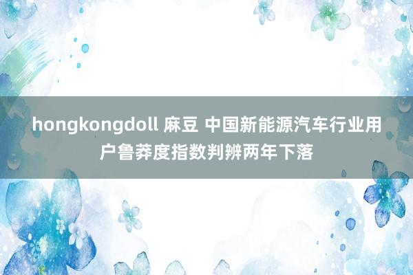 hongkongdoll 麻豆 中国新能源汽车行业用户鲁莽度指数判辨两年下落