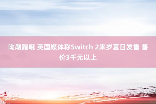 呦剐蹭哦 英国媒体称Switch 2来岁夏日发售 售价3千元以上