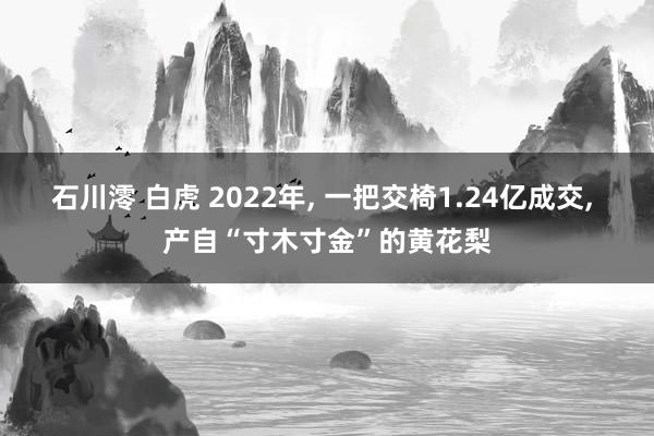 石川澪 白虎 2022年， 一把交椅1.24亿成交， 产自“寸木寸金”的黄花梨