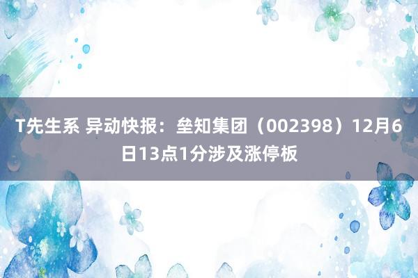 T先生系 异动快报：垒知集团（002398）12月6日13点1分涉及涨停板