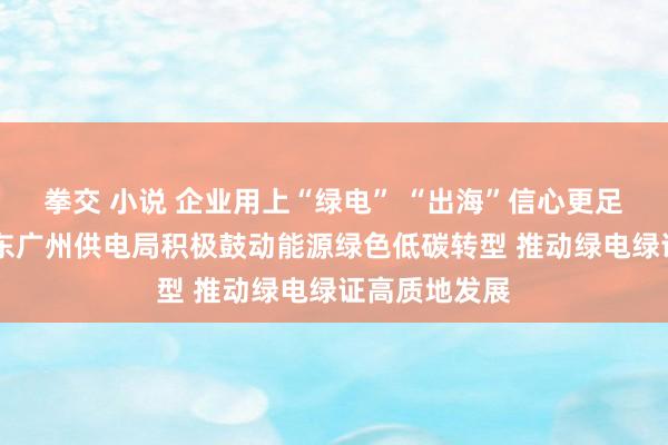 拳交 小说 企业用上“绿电” “出海”信心更足 南边电网广东广州供电局积极鼓动能源绿色低碳转型 推动绿电绿证高质地发展