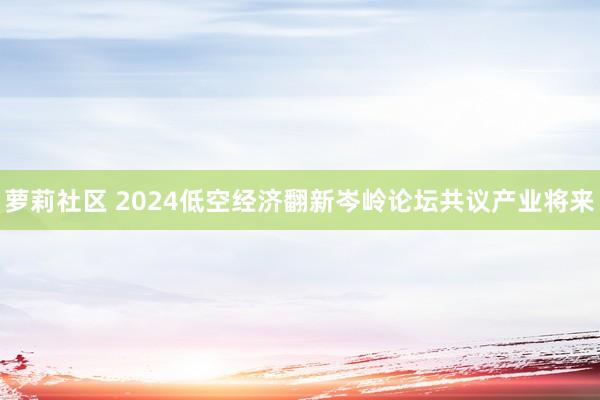 萝莉社区 2024低空经济翻新岑岭论坛共议产业将来