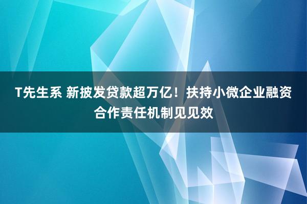 T先生系 新披发贷款超万亿！扶持小微企业融资合作责任机制见见效