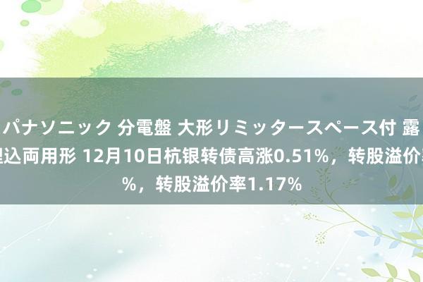 パナソニック 分電盤 大形リミッタースペース付 露出・半埋込両用形 12月10日杭银转债高涨0.51%，转股溢价率1.17%