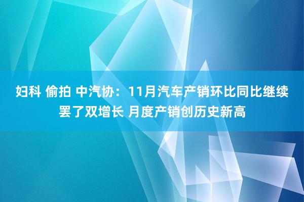 妇科 偷拍 中汽协：11月汽车产销环比同比继续罢了双增长 月度产销创历史新高