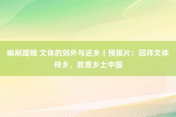 呦剐蹭哦 文体的郊外与还乡丨预报片：回拜文体梓乡，致意乡土中国