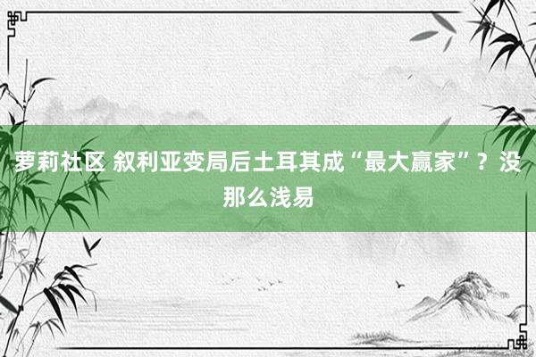 萝莉社区 叙利亚变局后土耳其成“最大赢家”？没那么浅易