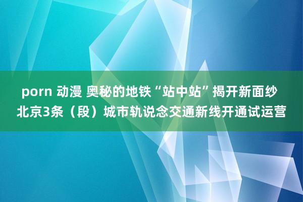 porn 动漫 奥秘的地铁“站中站”揭开新面纱 北京3条（段）城市轨说念交通新线开通试运营