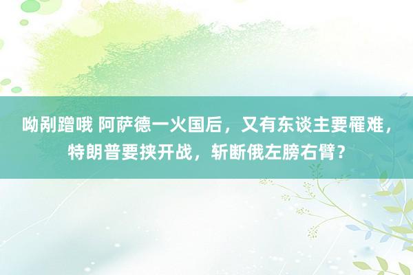 呦剐蹭哦 阿萨德一火国后，又有东谈主要罹难，特朗普要挟开战，斩断俄左膀右臂？