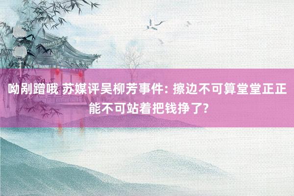 呦剐蹭哦 苏媒评吴柳芳事件: 擦边不可算堂堂正正 能不可站着把钱挣了?