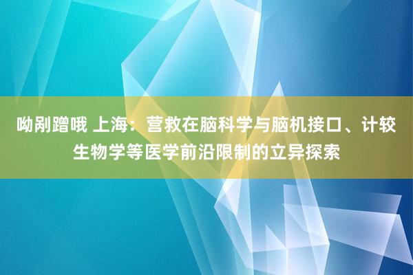 呦剐蹭哦 上海：营救在脑科学与脑机接口、计较生物学等医学前沿限制的立异探索