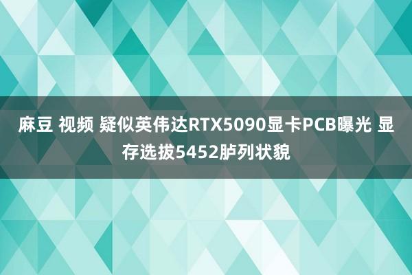 麻豆 视频 疑似英伟达RTX5090显卡PCB曝光 显存选拔5452胪列状貌