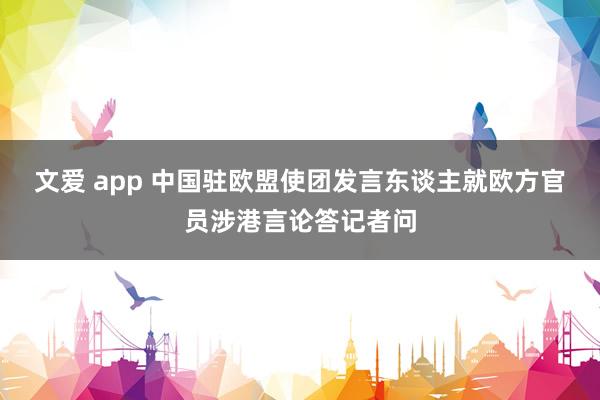 文爱 app 中国驻欧盟使团发言东谈主就欧方官员涉港言论答记者问