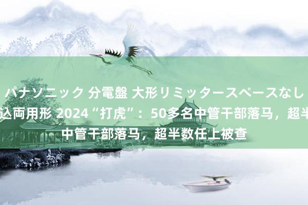 パナソニック 分電盤 大形リミッタースペースなし 露出・半埋込両用形 2024“打虎”：50多名中管干部落马，超半数任上被查