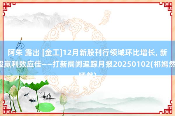 阿朱 露出 [金工]12月新股刊行领域环比增长， 新股赢利效应佳——打新阛阓追踪月报20250102(祁嫣然)