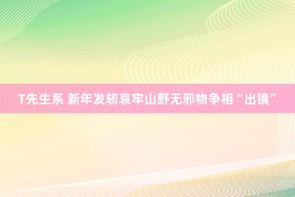 T先生系 新年发轫哀牢山野无邪物争相“出镜”