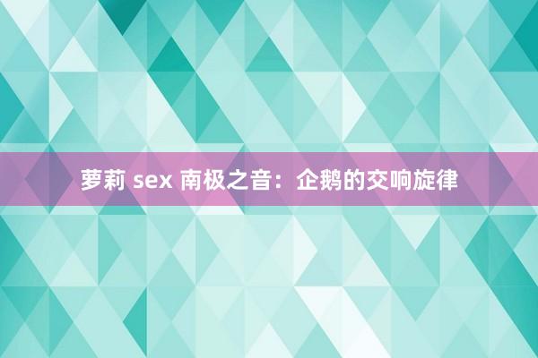 萝莉 sex 南极之音：企鹅的交响旋律