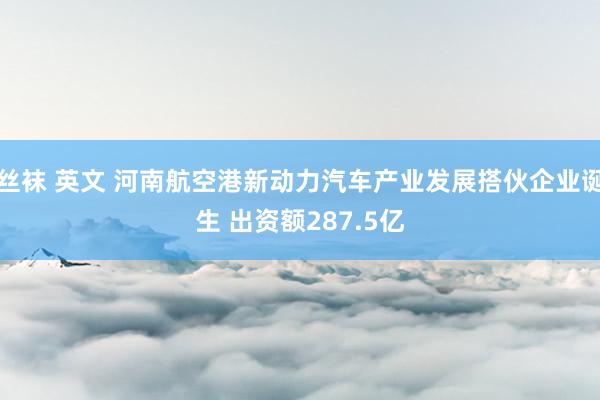 丝袜 英文 河南航空港新动力汽车产业发展搭伙企业诞生 出资额287.5亿