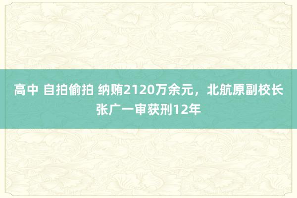 高中 自拍偷拍 纳贿2120万余元，北航原副校长张广一审获刑12年