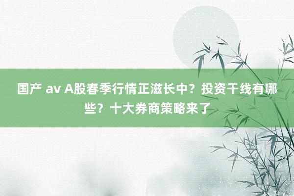 国产 av A股春季行情正滋长中？投资干线有哪些？十大券商策略来了