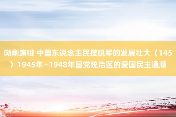 呦剐蹭哦 中国东说念主民摆脱军的发展壮大（145）1945年—1948年国党统治区的爱国民主通顺