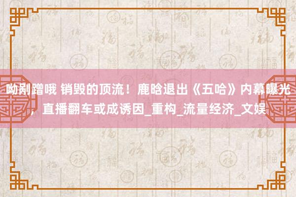 呦剐蹭哦 销毁的顶流！鹿晗退出《五哈》内幕曝光，直播翻车或成诱因_重构_流量经济_文娱
